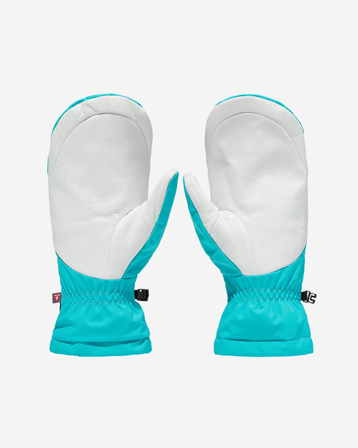 GORE-TEX LOGO (VTX X EIDER) MITTEN AQUA