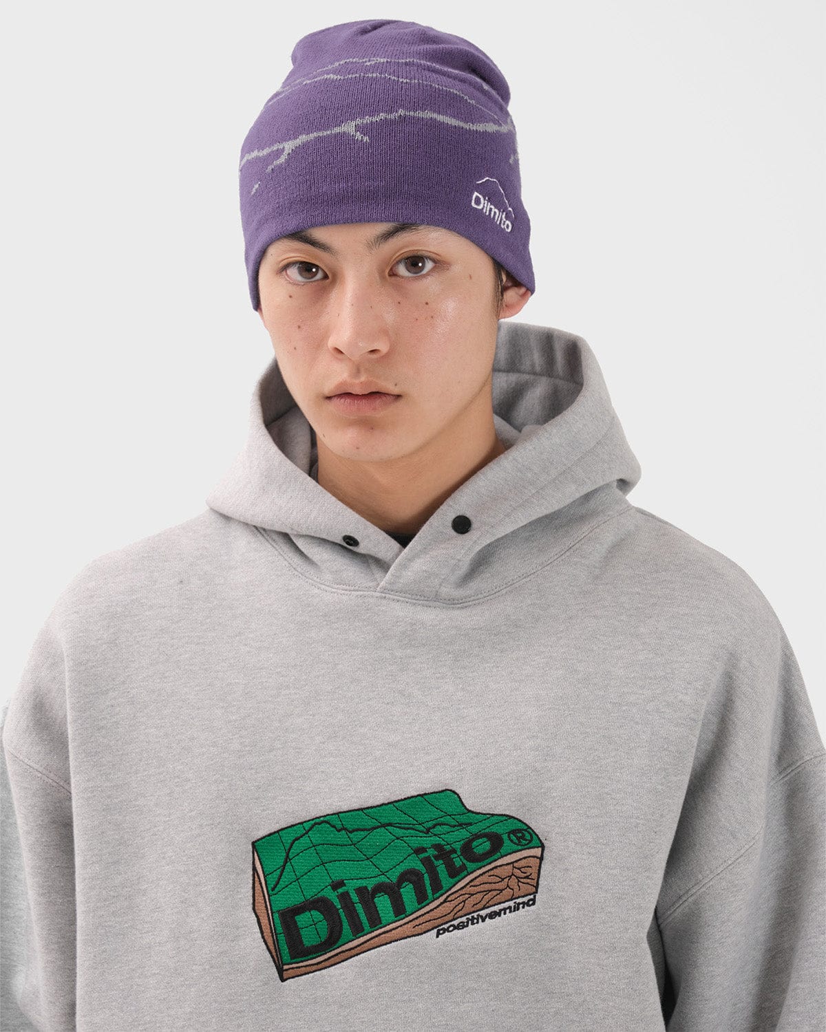 VERT ONE-SIZE MT LINE BEANIE PURPLE ASH