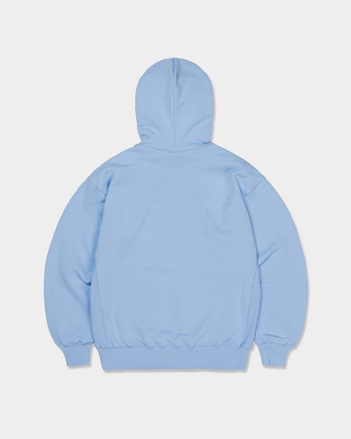 VERT WAVE LOGO HOODIE SKY